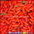 Bayas de goji secas para la venta bayas de goji secas efectos secundarios brotes de superestrella orgánicos bayas de goji secas